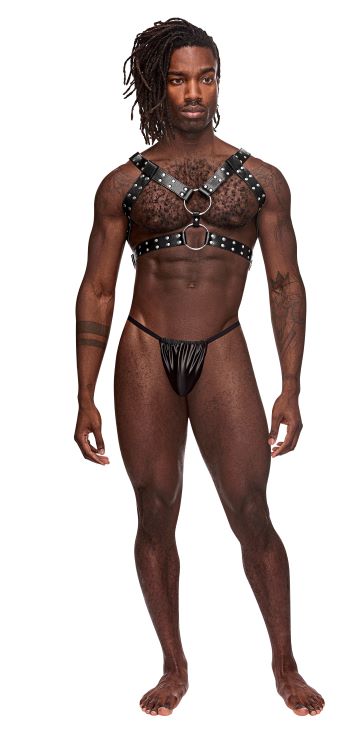 GEMINI LEATHER HARNESS BLACK O/S