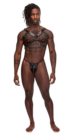 GEMINI LEATHER HARNESS BLACK O/S