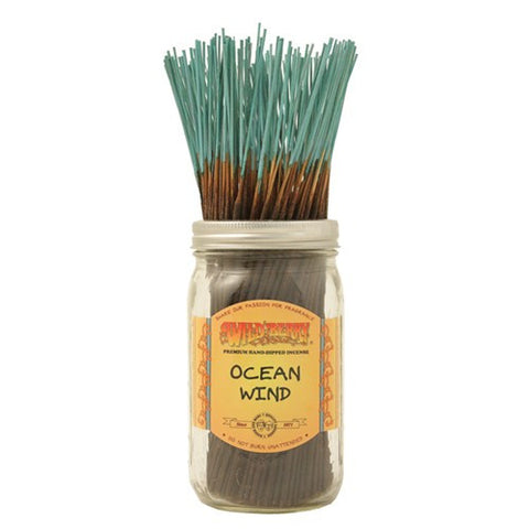 Wildberry Ocean Wind Incense (3 sticks)